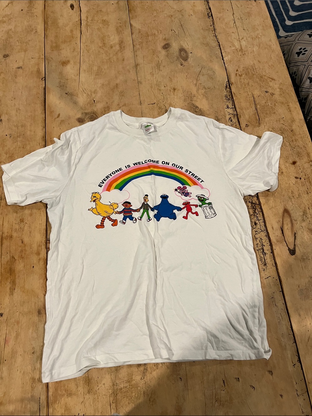 Hanna Anderson “Everyone is Welcome” tshirt